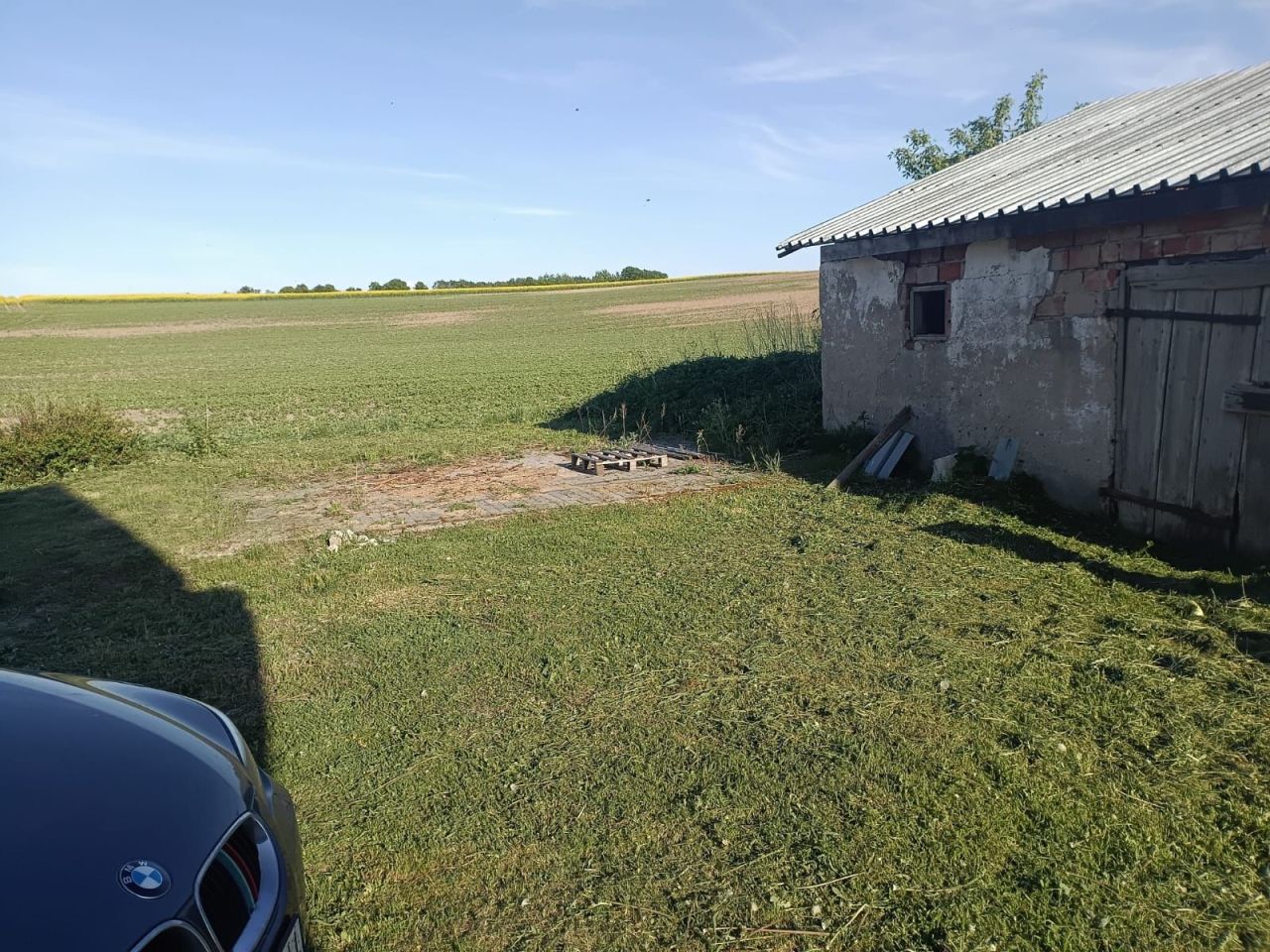 bliźniak Żołędnik. Zdjęcie 5