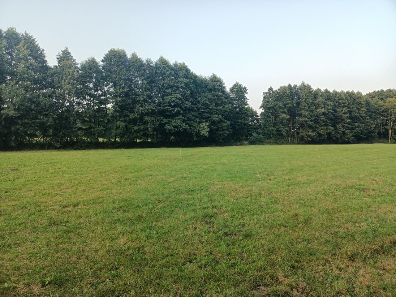 Działka rolno-budowlana Ogorzelczyn. Zdjęcie 5