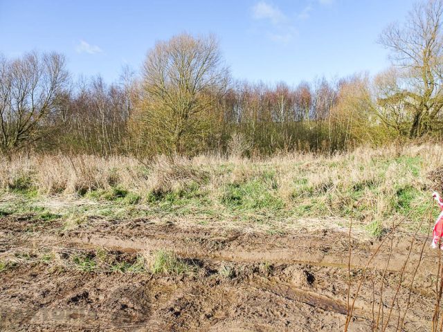 Działka budowlana Dobra, ul. Graniczna. Zdjęcie 3