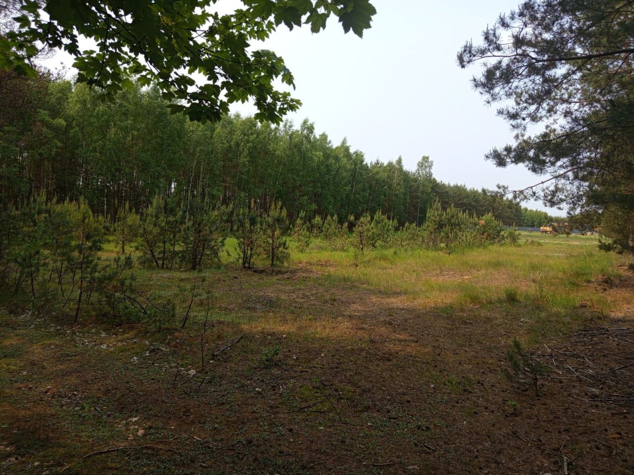 Działka budowlana Szczerby. Zdjęcie 2