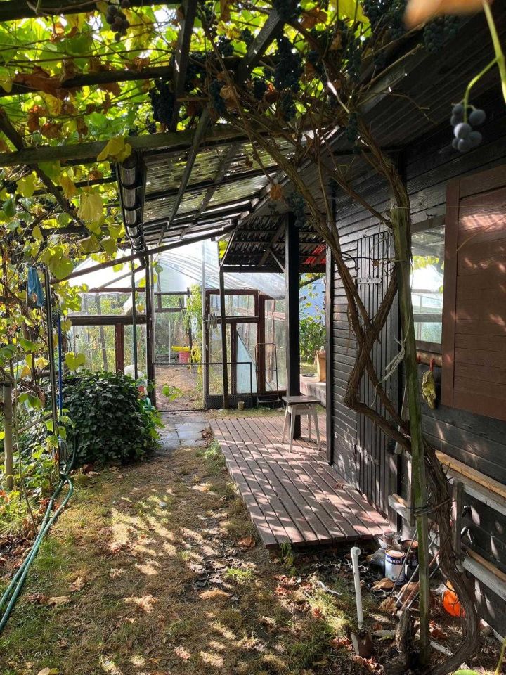 Działka rod Słomin. Zdjęcie 2