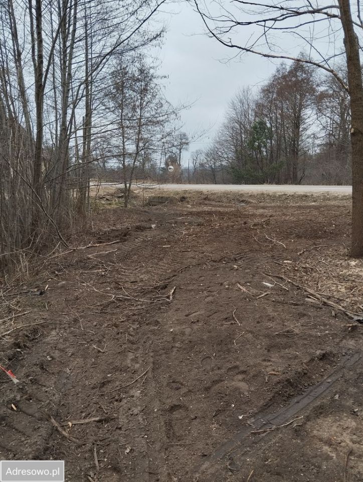 Działka rolno-budowlana Czymanowo. Zdjęcie 15