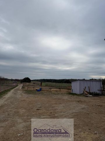 dom wolnostojący, 3 pokoje Głowaczów. Zdjęcie 14