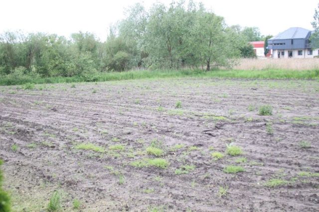 Działka rolno-budowlana Proszowice, ul. Kosynierów. Zdjęcie 1