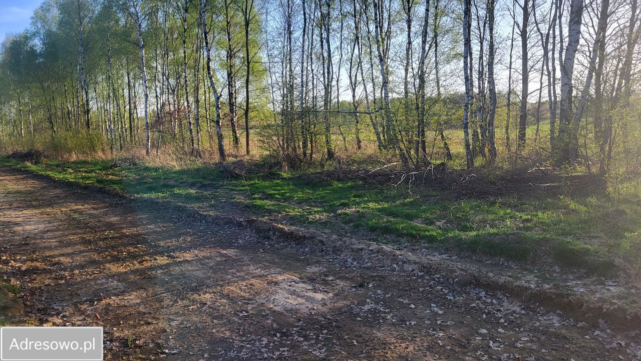 Działka budowlana Własna. Zdjęcie 2