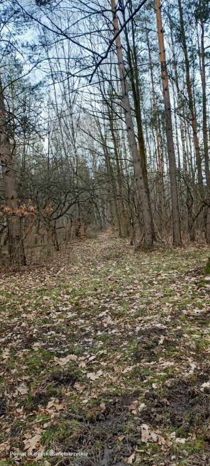 Działka budowlana Zagórze Brzask, ul. Wrzosowa. Zdjęcie 2