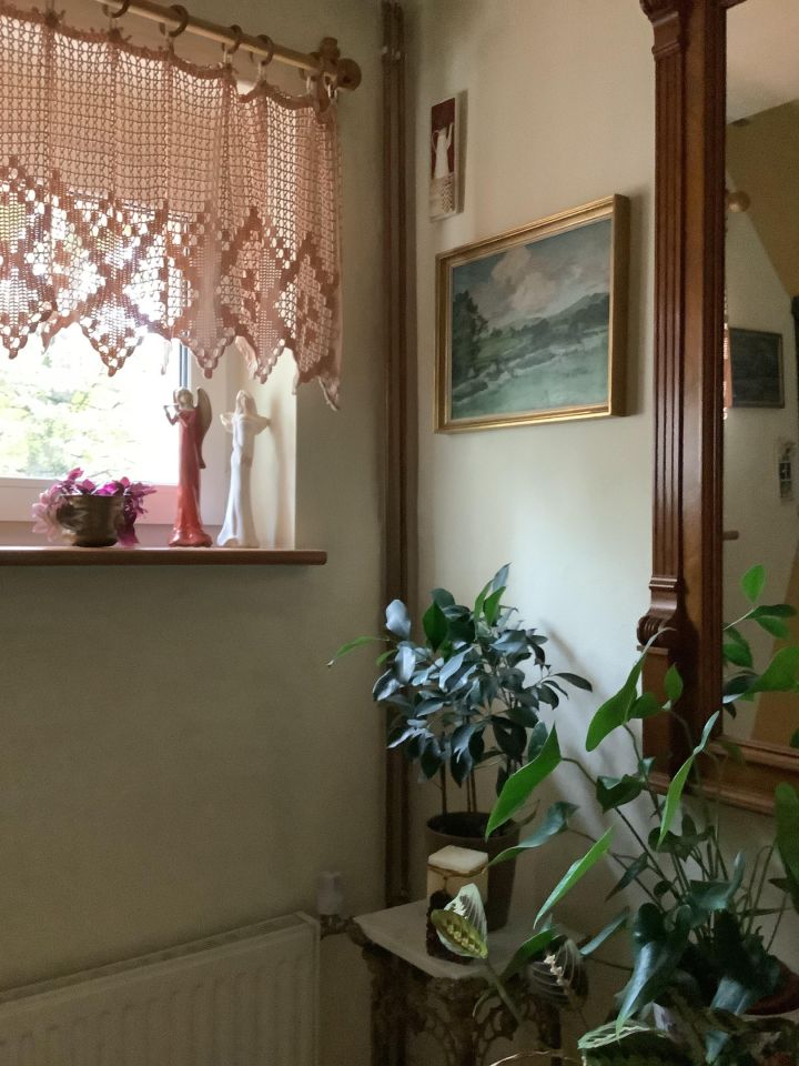 dom wolnostojący, 7 pokoi Szklarska Poręba Biała Dolina, ul. Demokratow. Zdjęcie 13