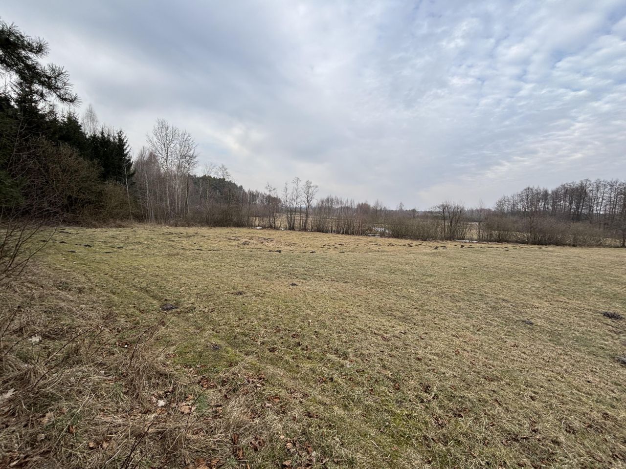 Działka budowlana Grądy. Zdjęcie 4