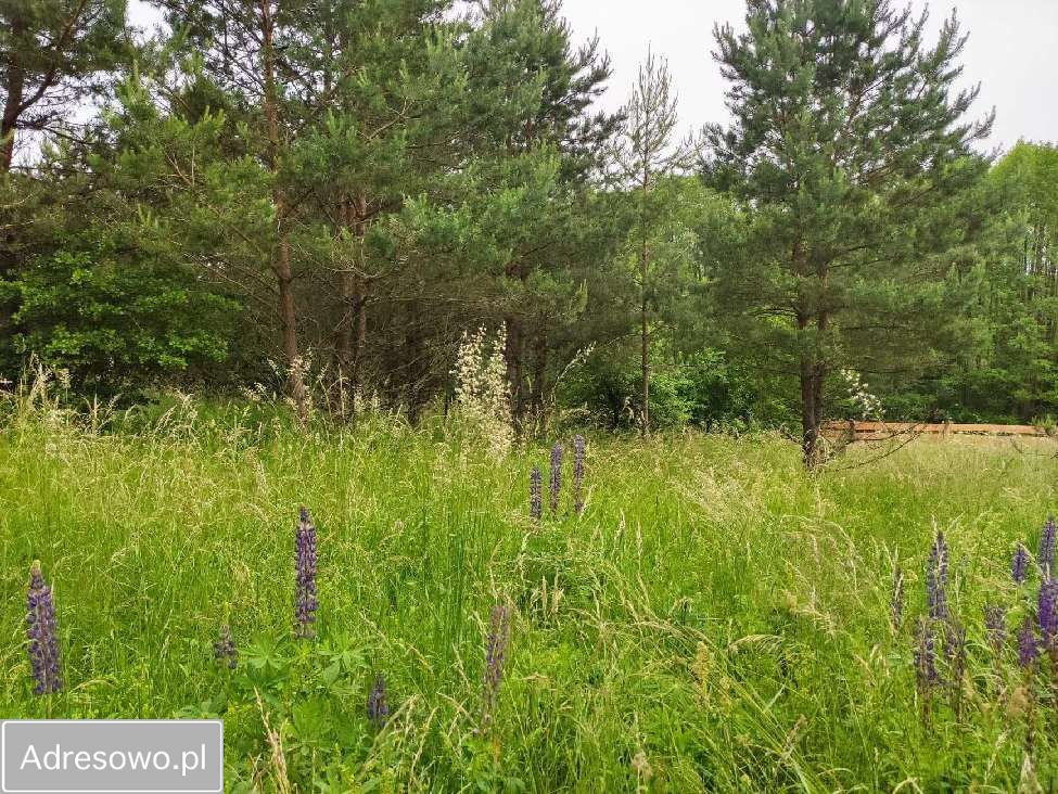 Działka rolna Rostki Skomackie. Zdjęcie 6