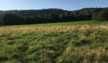 Działka budowlana Pisarzowice