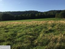 Działka budowlana Pisarzowice. Zdjęcie 1