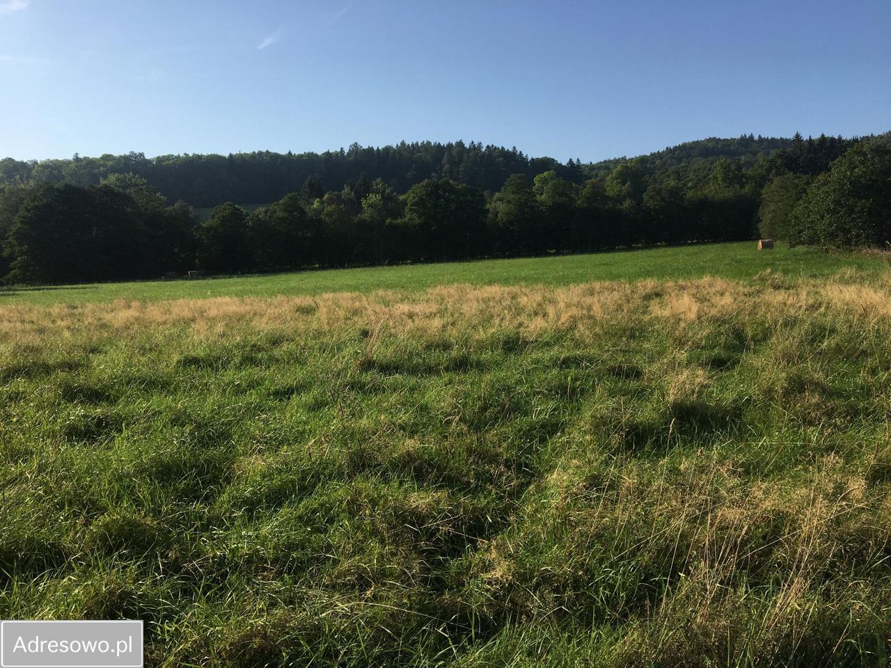 Działka budowlana Pisarzowice. Zdjęcie 2