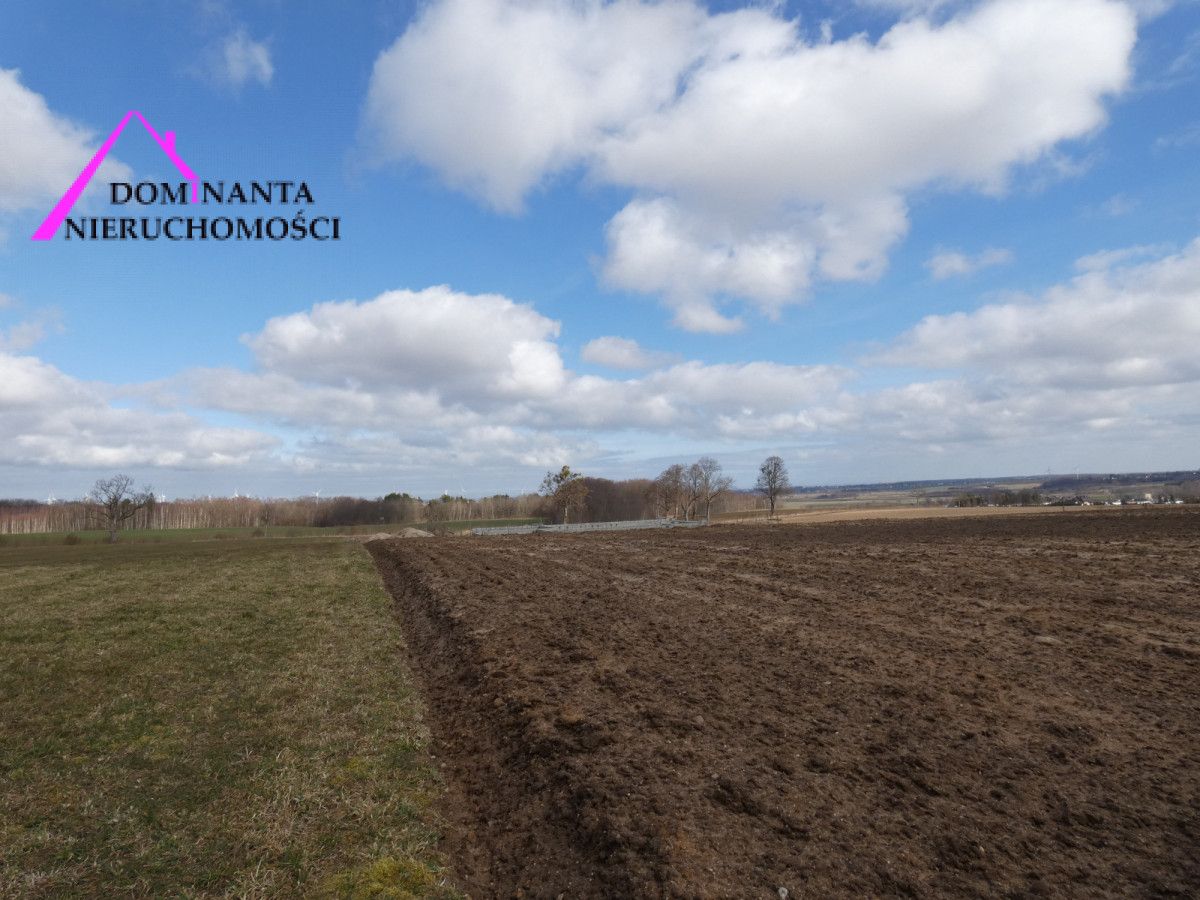 Działka budowlana Zdrada, ul. Leśna. Zdjęcie 12