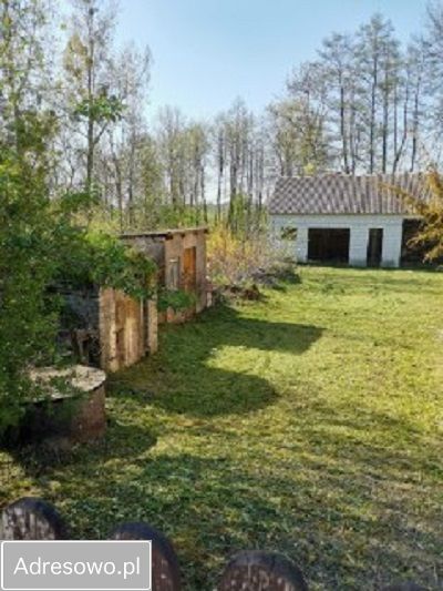 siedlisko, 2 pokoje Raszewo Włościańskie. Zdjęcie 9