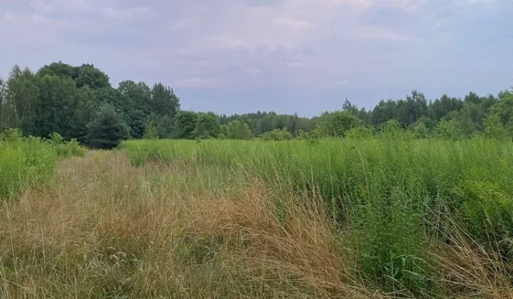 Działka Zgierz, ul. Nadrzeczna
