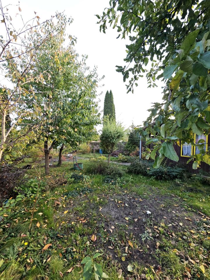 Działka rod Kieźliny. Zdjęcie 4