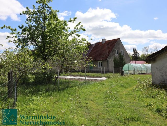 bliźniak Wirwilty. Zdjęcie 2