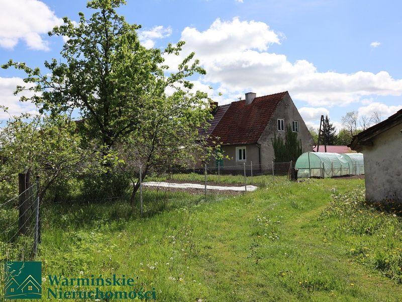 bliźniak Wirwilty. Zdjęcie 2