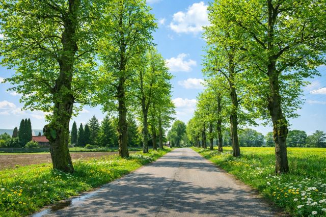 Działka budowlana Przęsocin. Zdjęcie 3