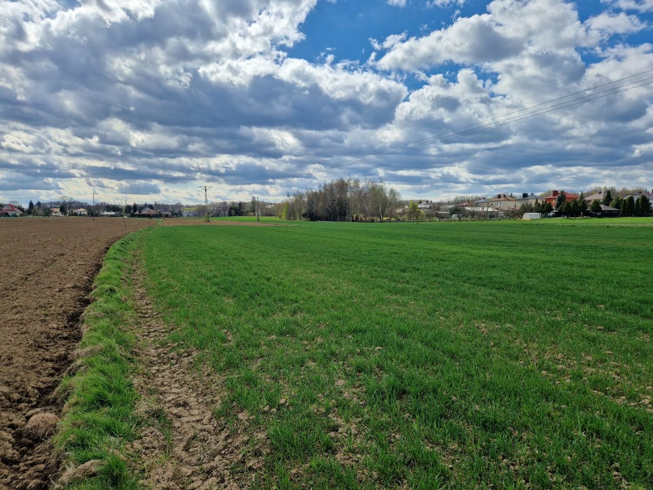 Działka budowlana Pilzno, ul. Grottgera. Zdjęcie 11