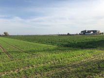 Działka inwestycyjna Komorno, ul. Główna. Zdjęcie 2