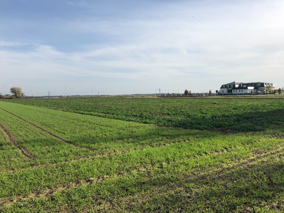 Działka inwestycyjna Komorno, ul. Główna. Zdjęcie 3