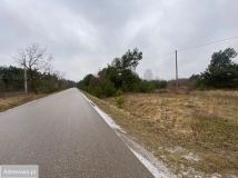 Działka budowlana Borki. Zdjęcie 3