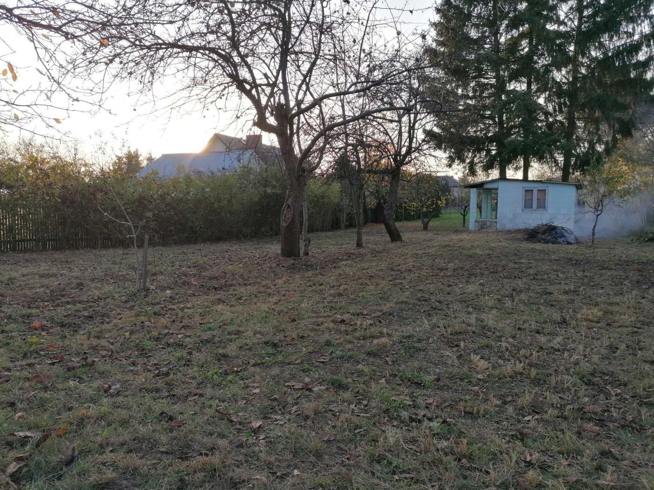 Działka rod Elizówka. Zdjęcie 7