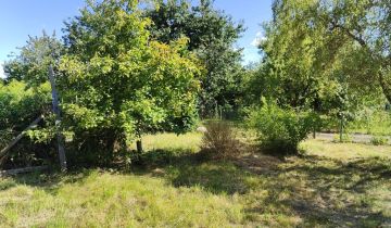Działka rod Gorzów Wielkopolski, ul. Szarych Szeregów