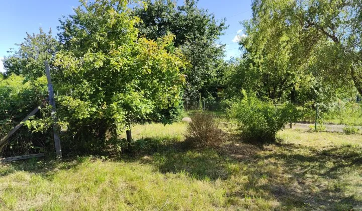 Działka rod Gorzów Wielkopolski, ul. Szarych Szeregów