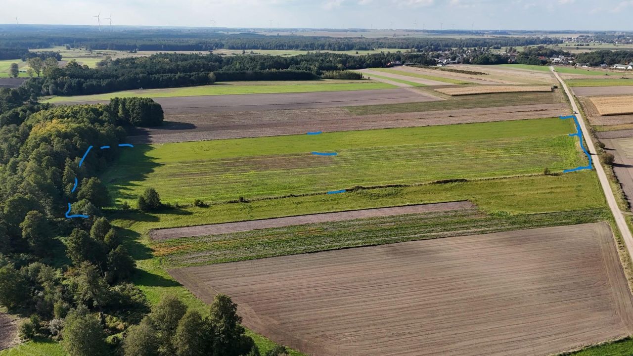 Działka rolna Jarnice. Zdjęcie 4