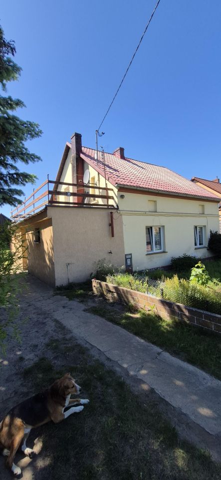 dom wolnostojący, 4 pokoje Wierzbowa. Zdjęcie 22