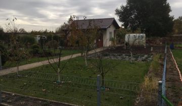 Działka rekreacyjna Słubice