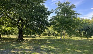 Działka rolno-budowlana Mietel