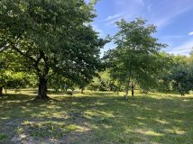 Działka budowlana Mietel. Zdjęcie 1