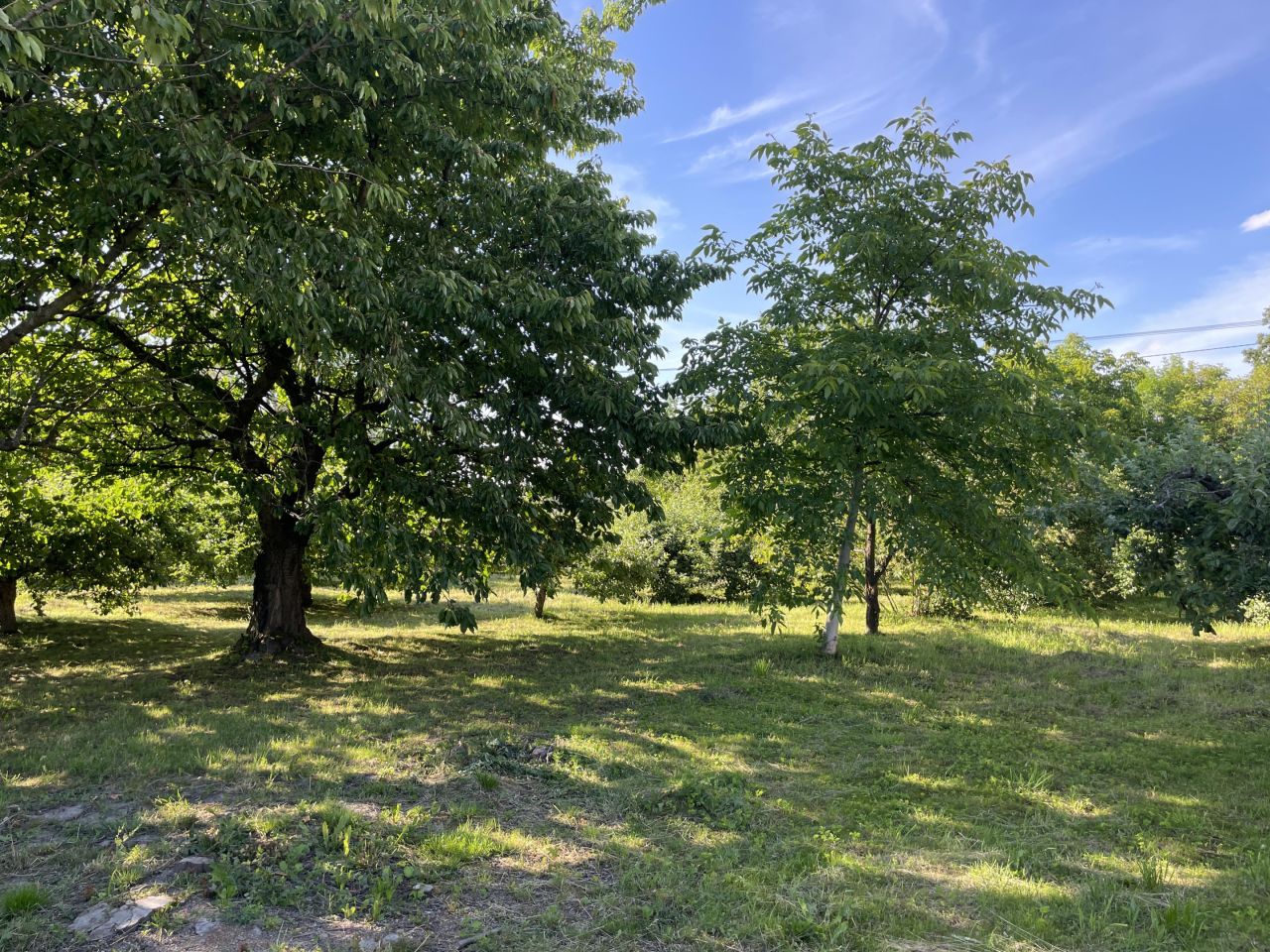 Działka rolno-budowlana Mietel. Zdjęcie 2