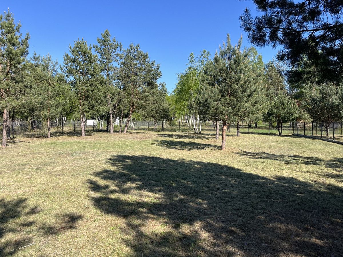 Działka rekreacyjna Grabie. Zdjęcie 7