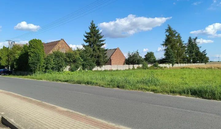 Działka budowlana Lisew