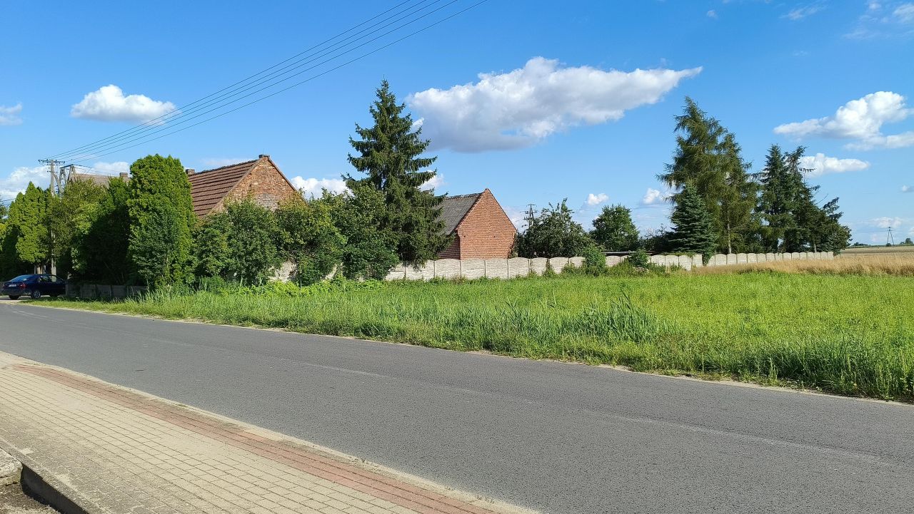 Działka budowlana Lisew. Zdjęcie 1