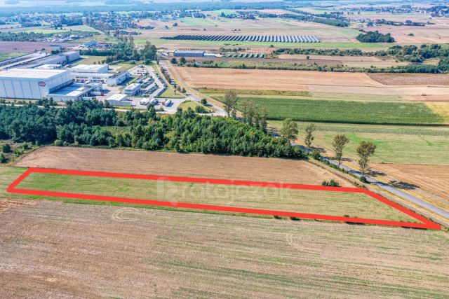 Działka inwestycyjna Łebcz, ul. dr. Augusta Oetkera. Zdjęcie 5