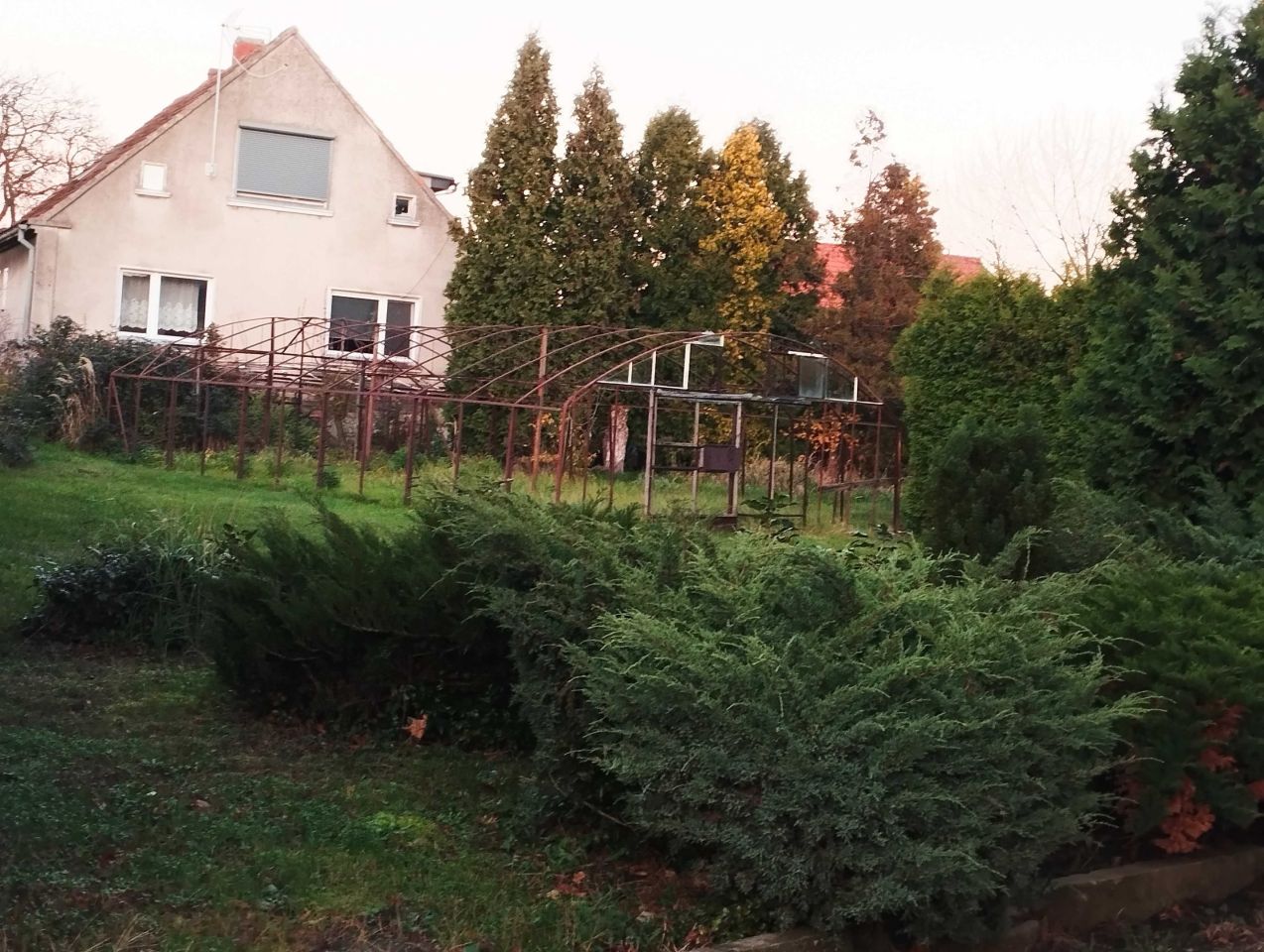 Działka siedliskowa Krotoszyn. Zdjęcie 5