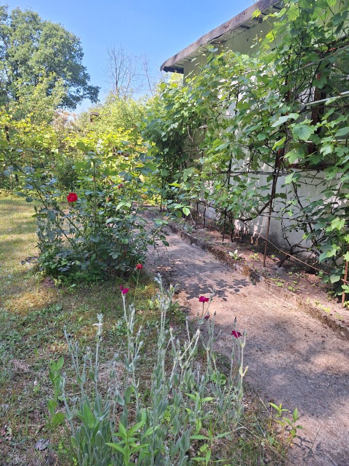 Działka rod Świdnica Łochowo, ul. Wypoczynek. Zdjęcie 7