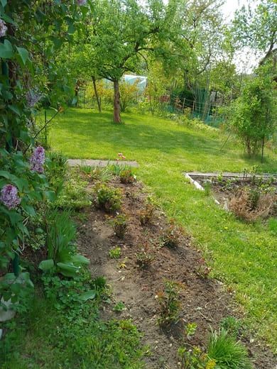 Działka rod Rzeszów Nowe Miasto, al. Niepodległości. Zdjęcie 2