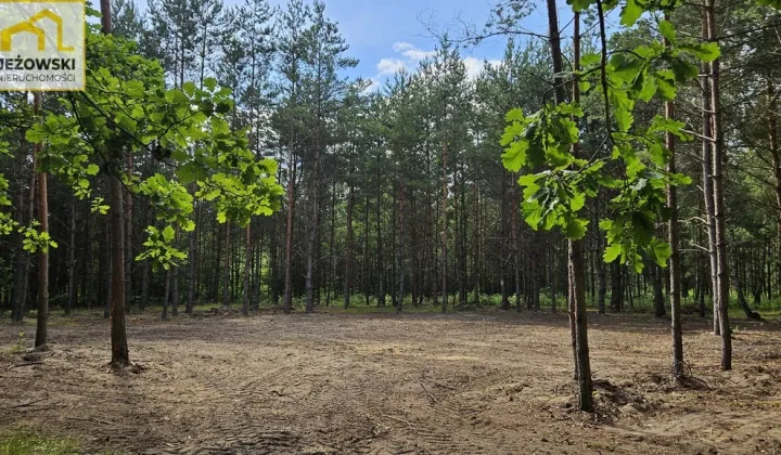 Działka rolna Nowosiółki
