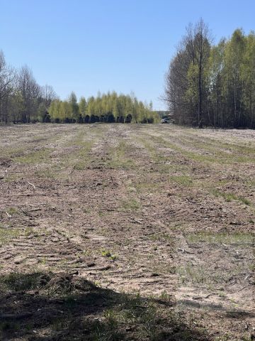 Działka budowlana Czarnocin. Zdjęcie 3