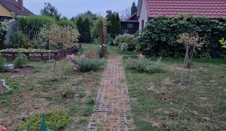 Działka rod Mielec Poręby, ul. Wincentego Witosa