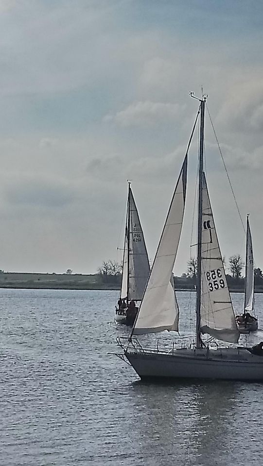 Działka budowlana Gostyń. Zdjęcie 8