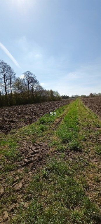 Działka budowlana Aleksandrów Łódzki. Zdjęcie 2