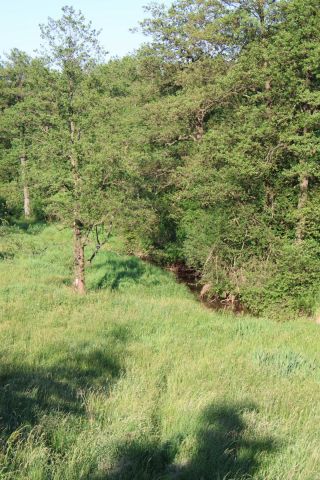 Działka rekreacyjna Dąbrowa Górnicza Błędów, ul. Turystyczna. Zdjęcie 1