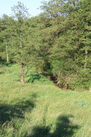 Działka rolno-budowlana Dąbrowa Górnicza Błędów, ul. Turystyczna. Zdjęcie 1